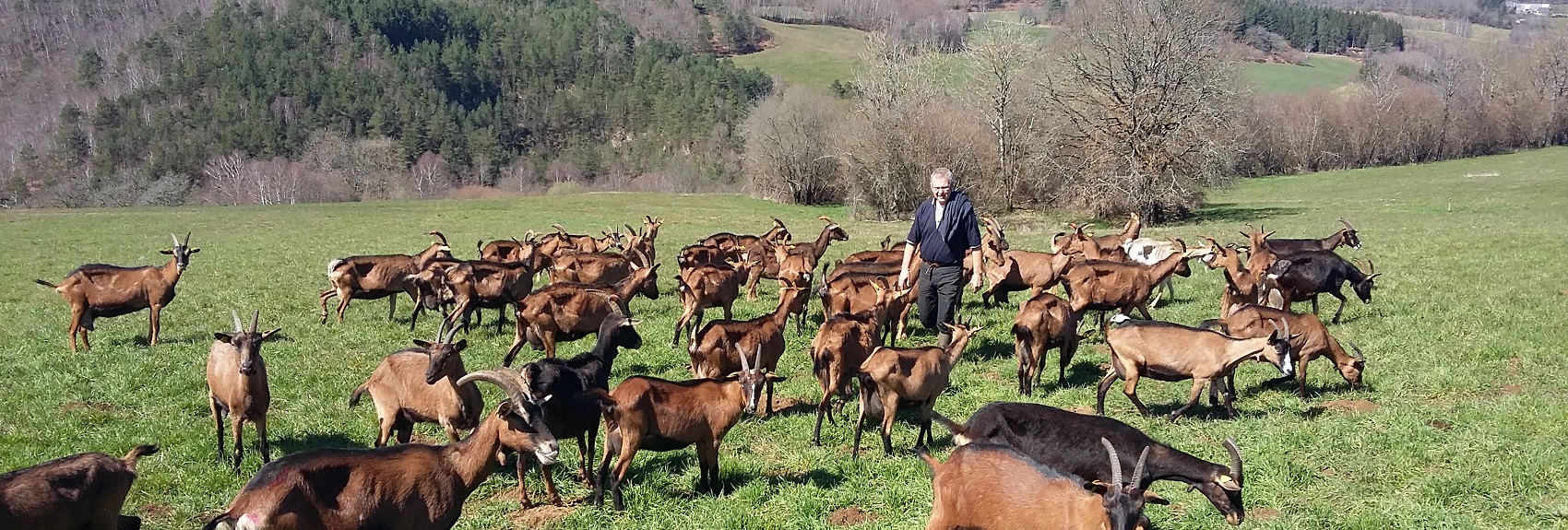 L’homme et la nature