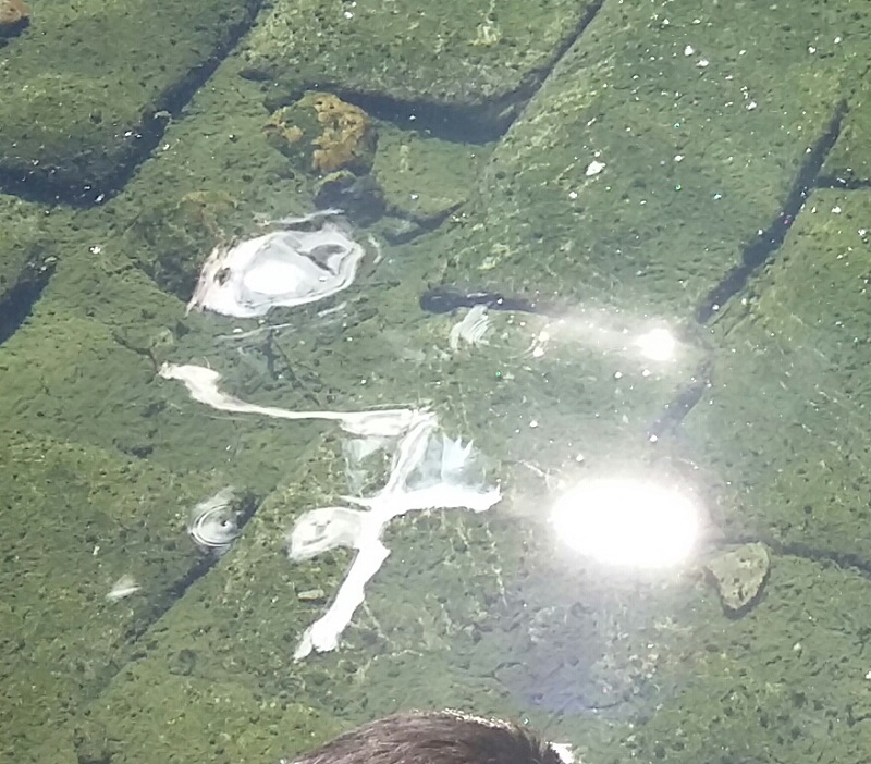 Apparition d'une ondine dans une fontaine sacrée.