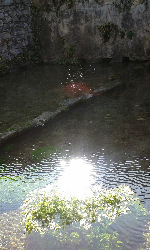 Apparition d'une ondine dans une fontaine sacrée.
