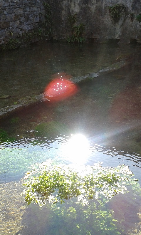 Apparition d'une ondine dans une fontaine sacrée.