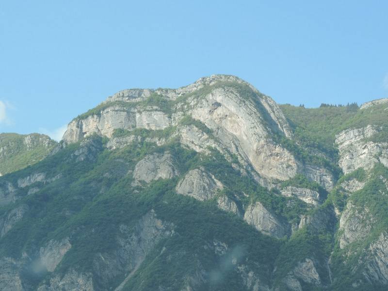 Saurien surpuissant