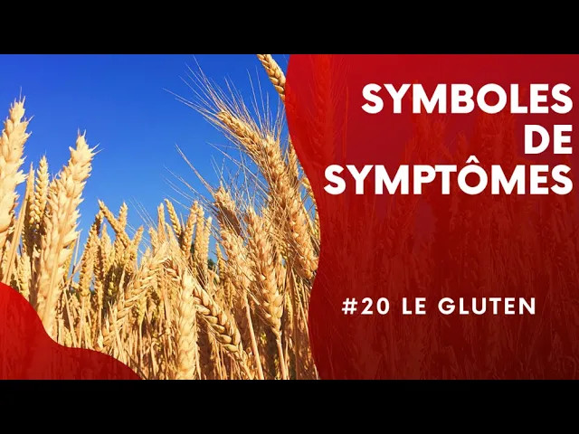 Symboles de symptômes N°20 : le gluten