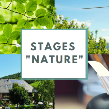 Nouveaux stages « Nature »